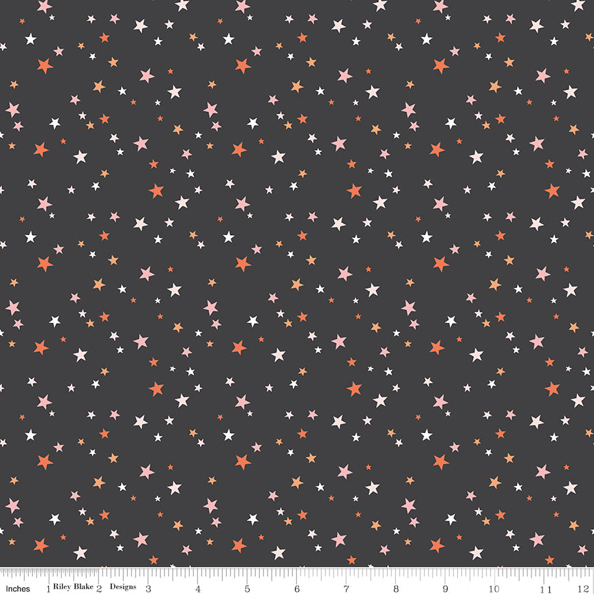 Hey Pumpkin Stars Charcoal by My Mind's Eye for Riley Blake Fabrics C16037-CHARCOAL, 1/2 yard increments