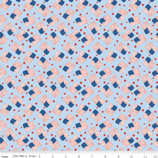 Firecracker Flags Frost by My Mind's Eye for Riley Blake Fabrics, C17203-FROST, 1/2 yard increments