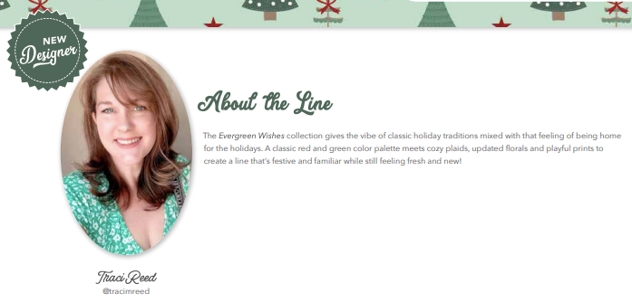 Evergreen Wishes Stockings & Gifts Mint by Traci Reed for Riley Blake Fabrics 17812-MINT, 1/2 yard increments