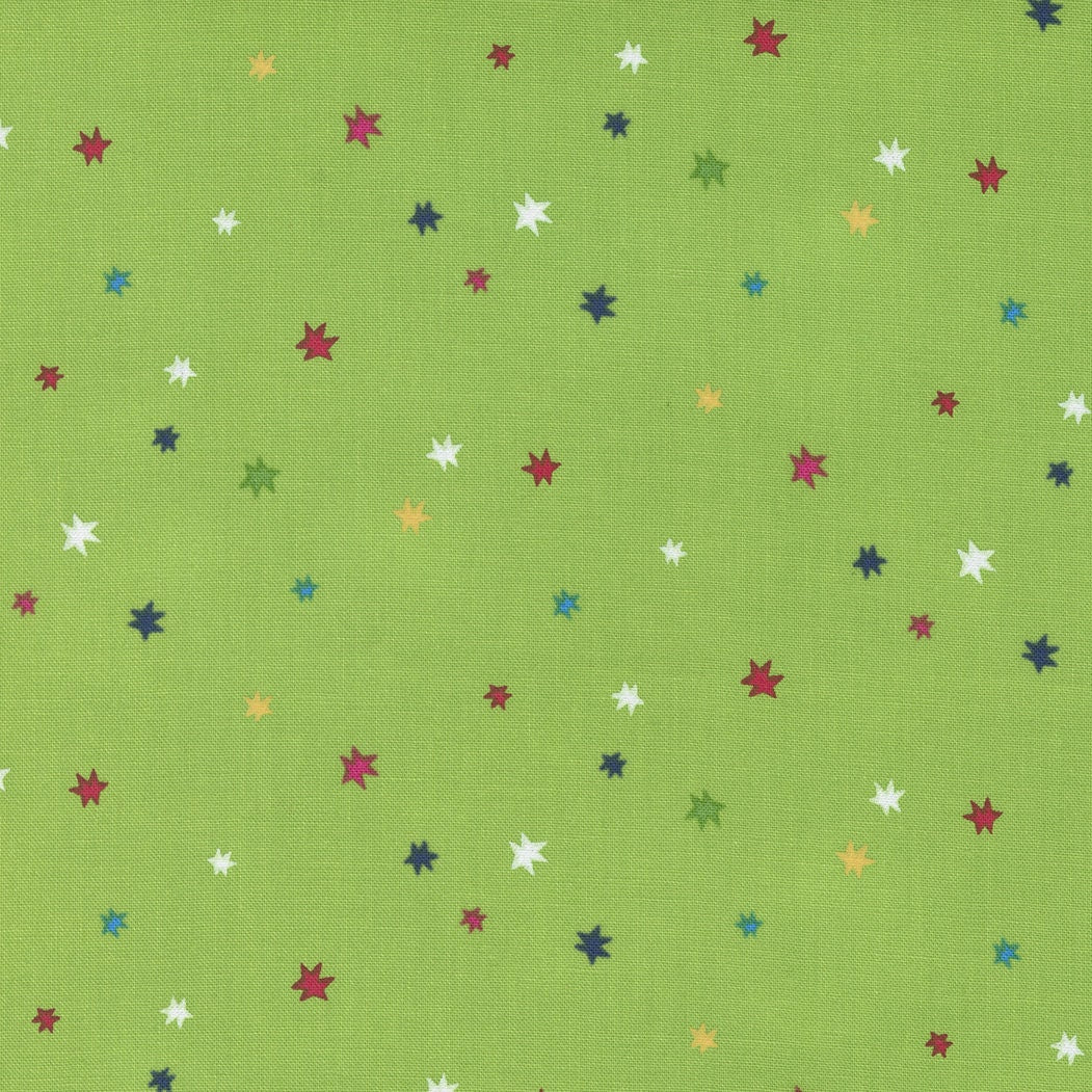 Rainbow Garden Starburst Sprout by Abi Hall for Moda Fabrics 35366 13