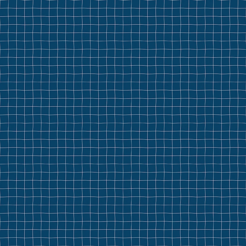 Sew Much Fun Grid Navy by Echo Park Paper Co. for Riley Blake Fabrics C12457-NAVY