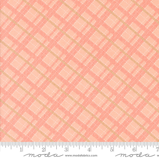 Abloom Stitched Plaid Checks and Plaids Bubble Gum by Corey Yoder of Moda Fabrics, 29214 13, 1/2 yard increments