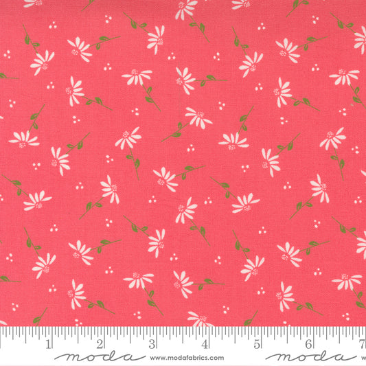 Sincerely Yours Dainty Floral Daisy Flamingo by Sherri and Chelsi for Moda Fabrics, 37612 14, 1/2 yard increments