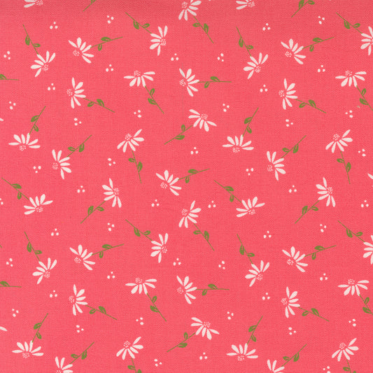 Sincerely Yours Dainty Floral Daisy Flamingo by Sherri and Chelsi for Moda Fabrics, 37612 14, 1/2 yard increments