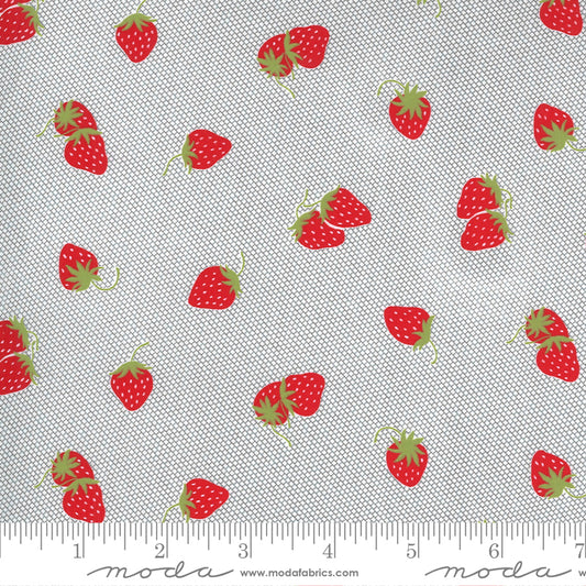Sunday Stroll Berry Patch Grey by Bonnie & Camille of Moda Fabrics, 55223 17, 1/2 yard increments