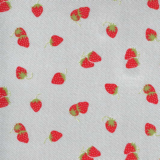 Sunday Stroll Berry Patch Grey by Bonnie & Camille of Moda Fabrics, 55223 17, 1/2 yard increments