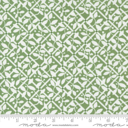 Shoreline Lattice Checks and Plaids Blender Green by Camille Roskelley of Moda Fabrics 55303 15, 1/2 yard increments