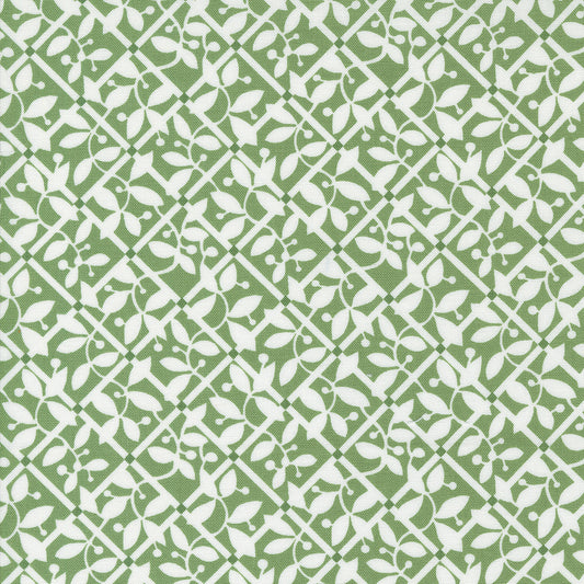 Shoreline Lattice Checks and Plaids Blender Green by Camille Roskelley of Moda Fabrics 55303 15, 1/2 yard increments