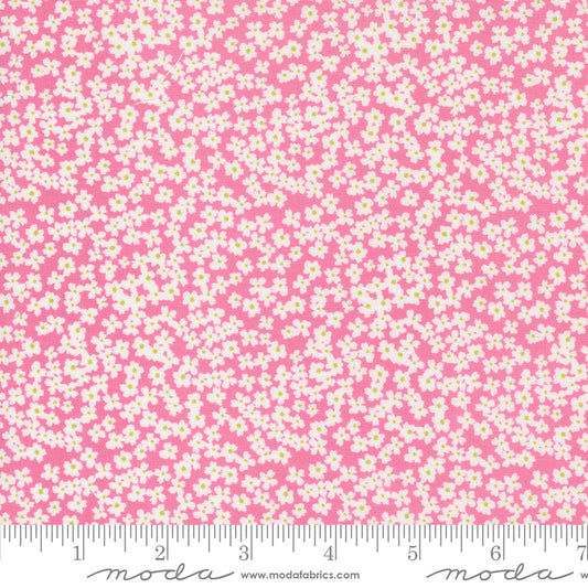 Shine Bloom Small Floral Lollipop by Sweetwater for Moda Fabrics 55672 13, 1/2 yard increments