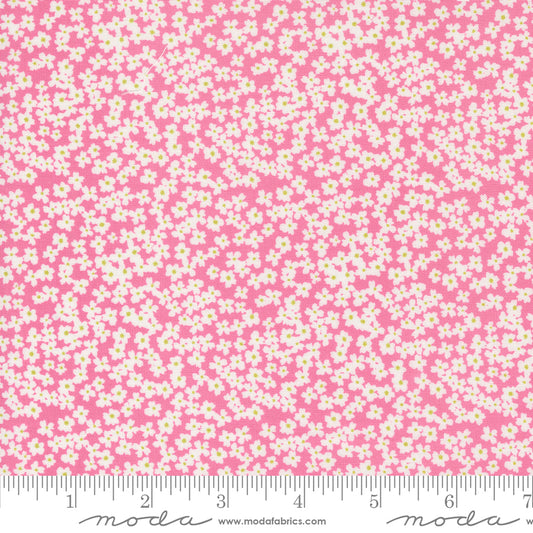 Shine Bloom Small Floral Lollipop by Sweetwater for Moda Fabrics 55672 13, 1/2 yard increments