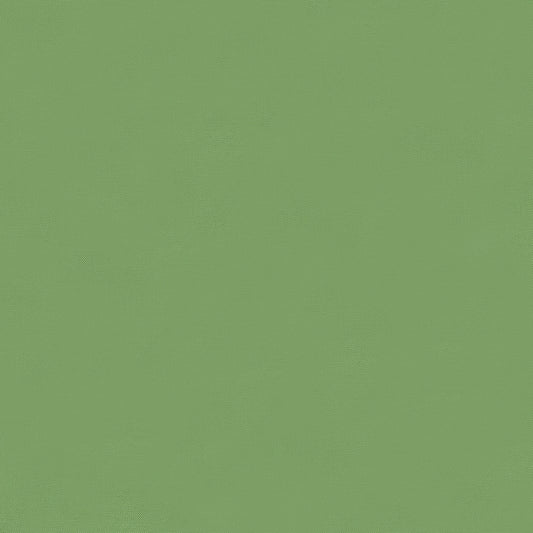 Moda Bella Solids Meadow 9900 465