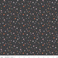 Hey Pumpkin Stars Charcoal by My Mind's Eye for Riley Blake Fabrics C16037-CHARCOAL, 1/2 yard increments