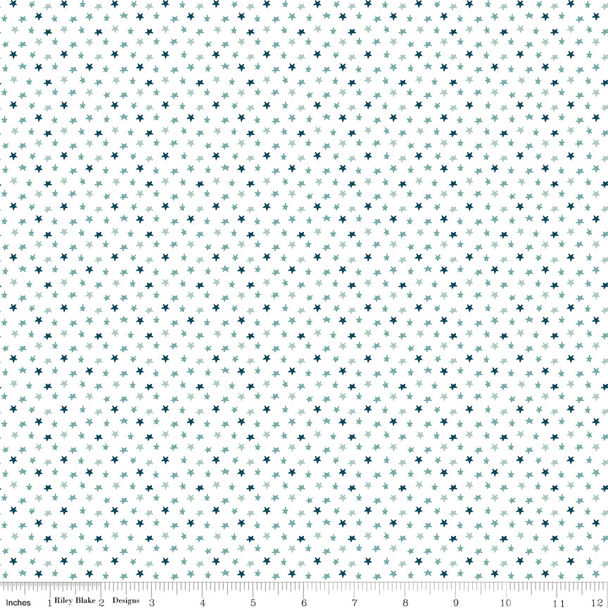 Baby Boy Stars White by Lori Whitlock for Riley Blake Designs, C16766-WHITE, 1/2 yard increments