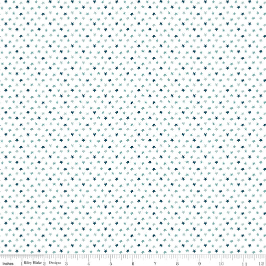 Baby Boy Stars White by Lori Whitlock for Riley Blake Designs, C16766-WHITE, 1/2 yard increments