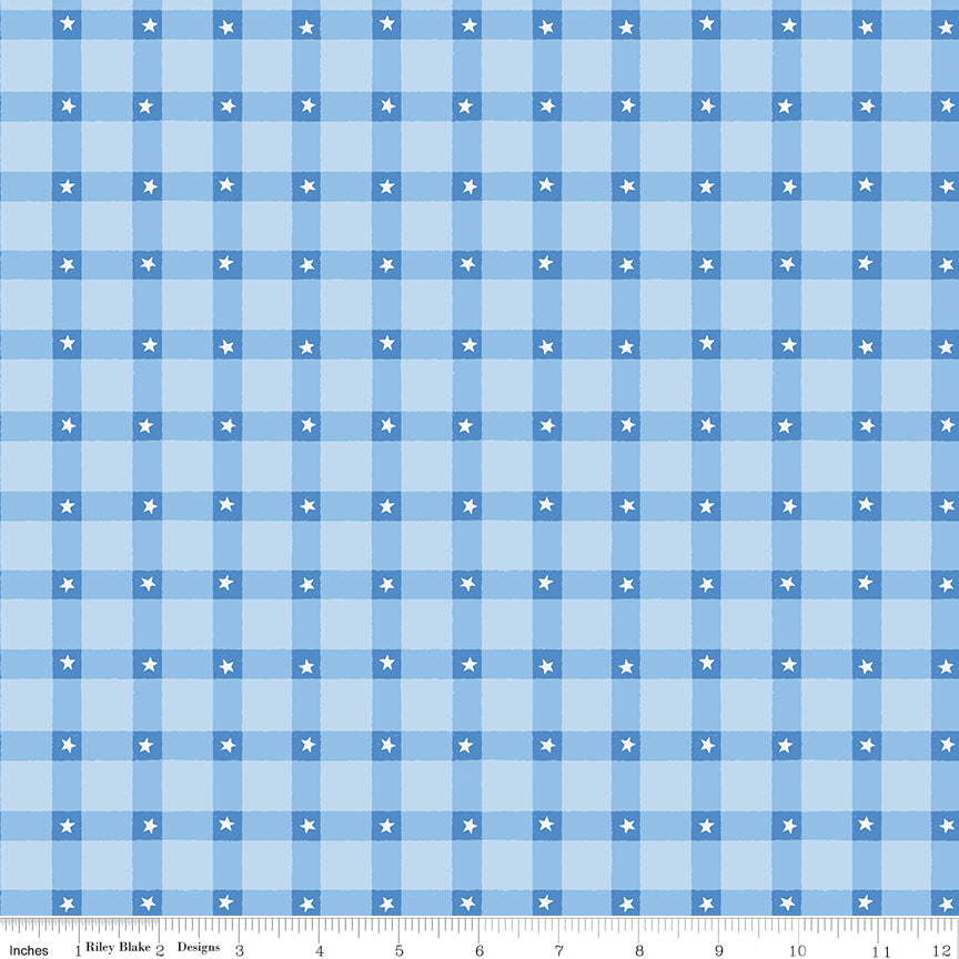 Firecracker Plaid Frost by My Mind's Eye for Riley Blake Fabrics, C17202-FROST, 1/2 yard increments