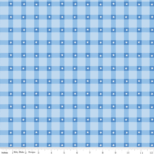 Firecracker Plaid Frost by My Mind's Eye for Riley Blake Fabrics, C17202-FROST, 1/2 yard increments