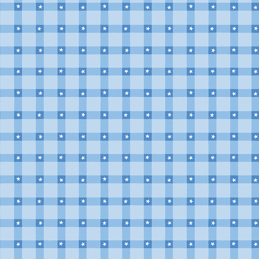 Firecracker Plaid Frost by My Mind's Eye for Riley Blake Fabrics, C17202-FROST, 1/2 yard increments