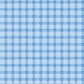 Firecracker Plaid Frost by My Mind's Eye for Riley Blake Fabrics, C17202-FROST, 1/2 yard increments