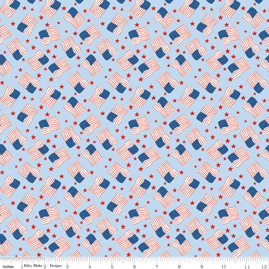 Firecracker Flags Frost by My Mind's Eye for Riley Blake Fabrics, C17203-FROST, 1/2 yard increments