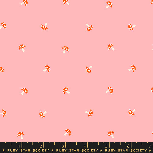 Carousel Balmy by Melody Miller of Ruby Star Society RS0100 13, 1/2 yard increments