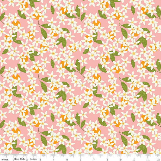 Grove Blossoms Grapefruit by Jill Finley for Riley Blake Designs C10142-GRAPEFRUIT