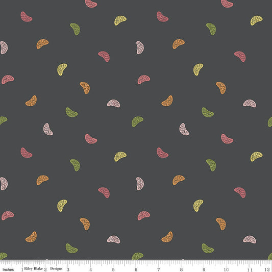 Grove Wedges Charcoal by Jill Finley for Riley Blake Designs C10143-CHARCOAL