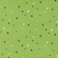 Rainbow Garden Starburst Sprout by Abi Hall for Moda Fabrics 35366 13