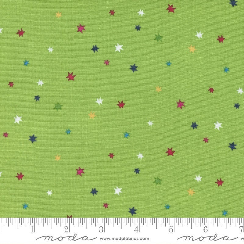 Rainbow Garden Starburst Sprout by Abi Hall for Moda Fabrics 35366 13