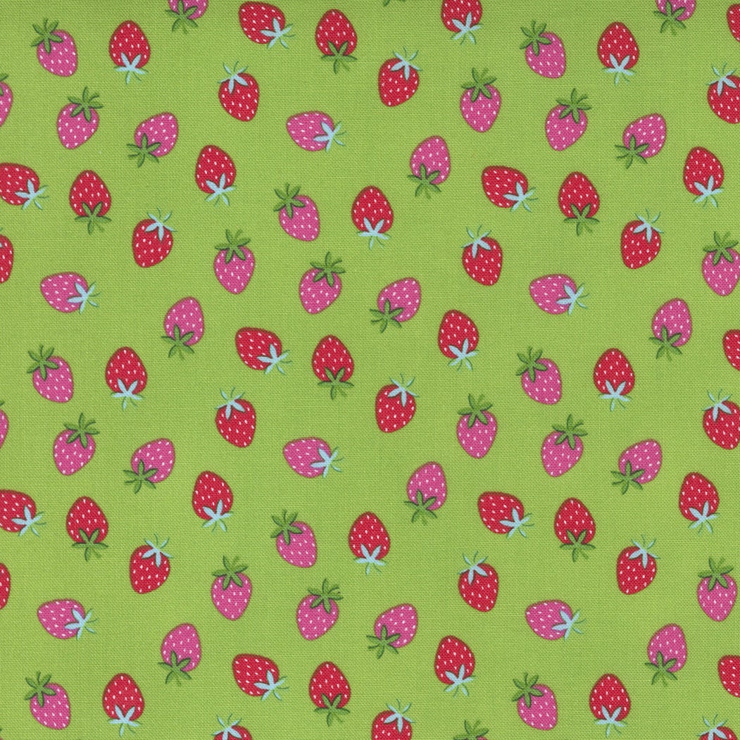 Rainbow Garden Strawberry Sprout by Abi Hall for Moda Fabrics 35365 13