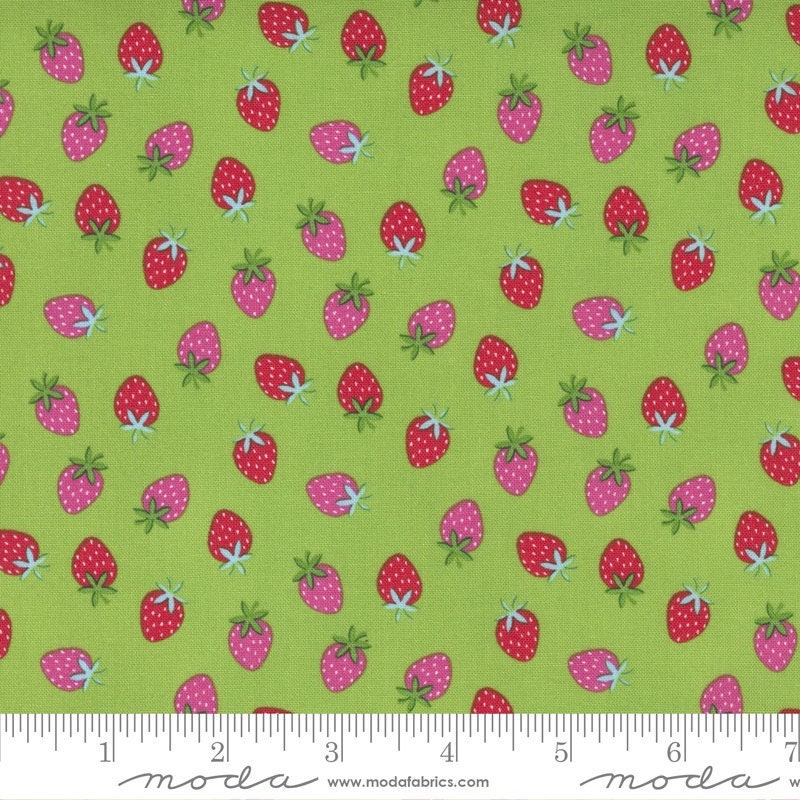 Rainbow Garden Strawberry Sprout by Abi Hall for Moda Fabrics 35365 13