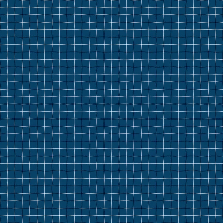 Sew Much Fun Grid Navy by Echo Park Paper Co. for Riley Blake Fabrics C12457-NAVY